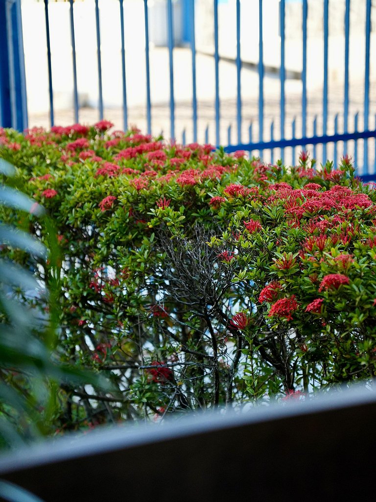 Área de Lazer dos Sonhos | Localização Perfeita