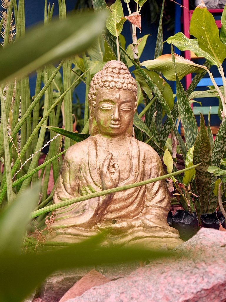 Ponta Negra | Refúgio com Natureza | A/C e Piscina