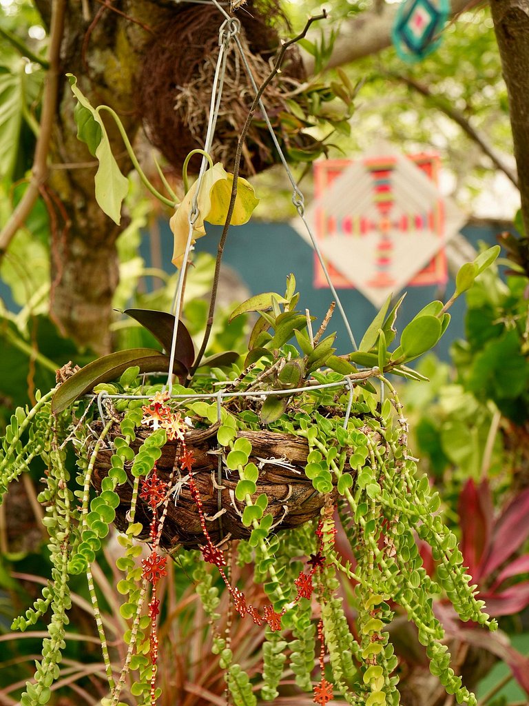 Ponta Negra | Refúgio com Natureza | A/C e Piscina