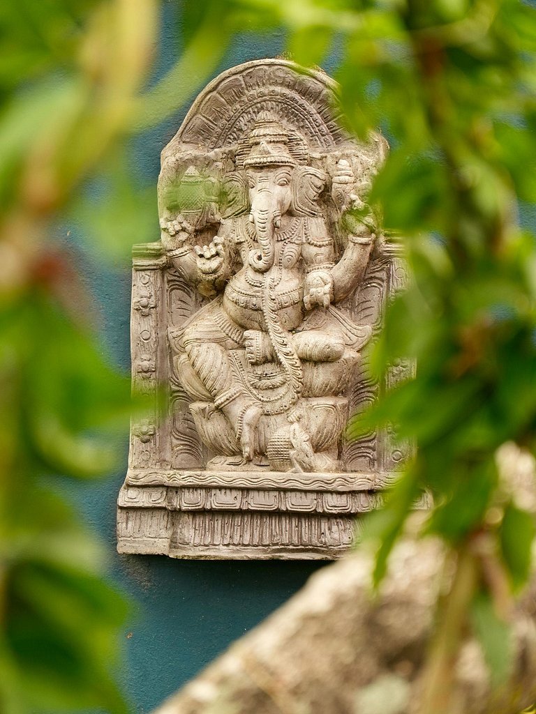 Ponta Negra | Refúgio com Natureza | A/C e Piscina